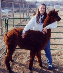 Circle C Alpacas