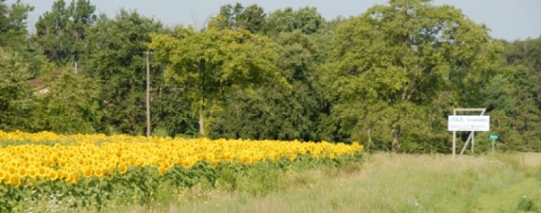 RKR & Associates Arboretum