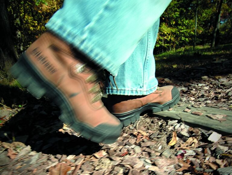 Hike and Explore Our Natural Wonders