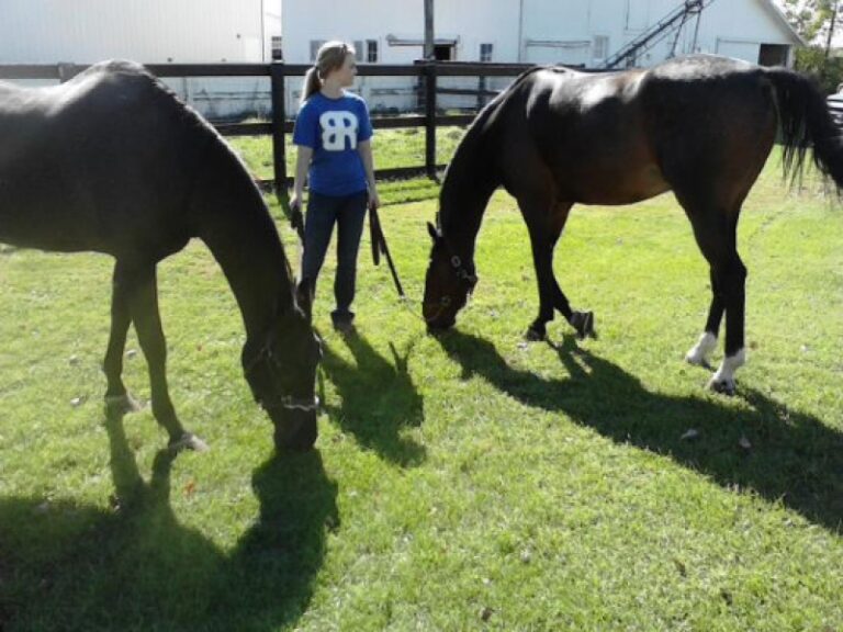 Plumcreek Stable