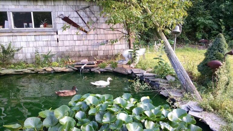 Long’s Garden