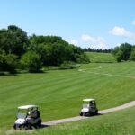silver-ridge-cart2