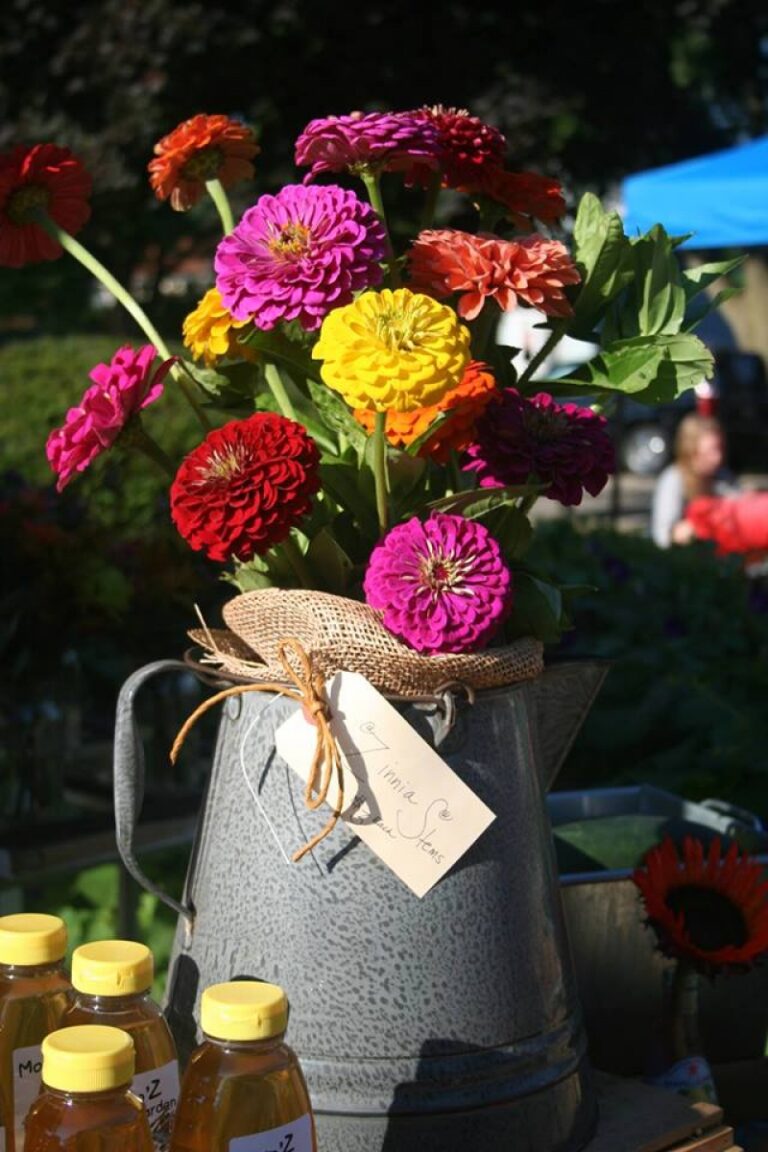 Market on the Lawn at The Cypress House