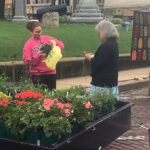mtcarroll-farmersmarket4