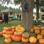 1-selmi-pumpkins