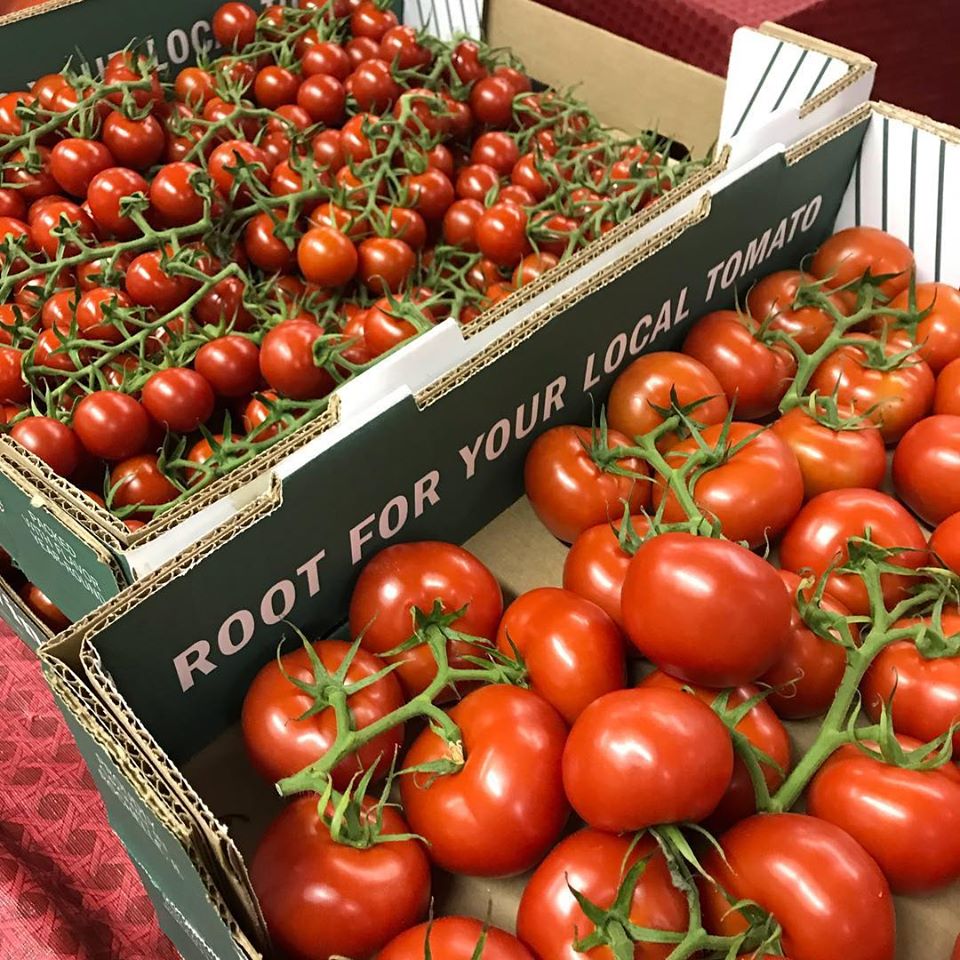 Twin Cities Frmr Mkt tomatoes