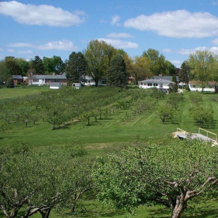 Rolling Hills Progress Center Orchards