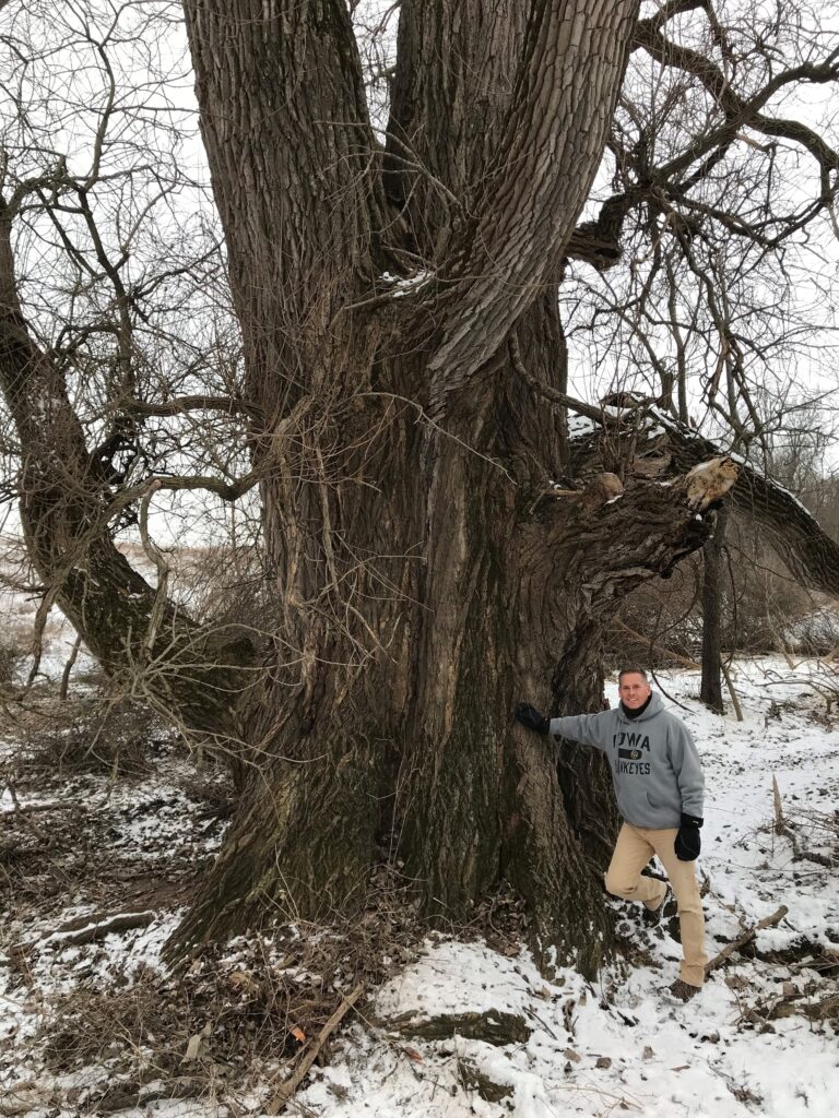 Bald Hill Preserve