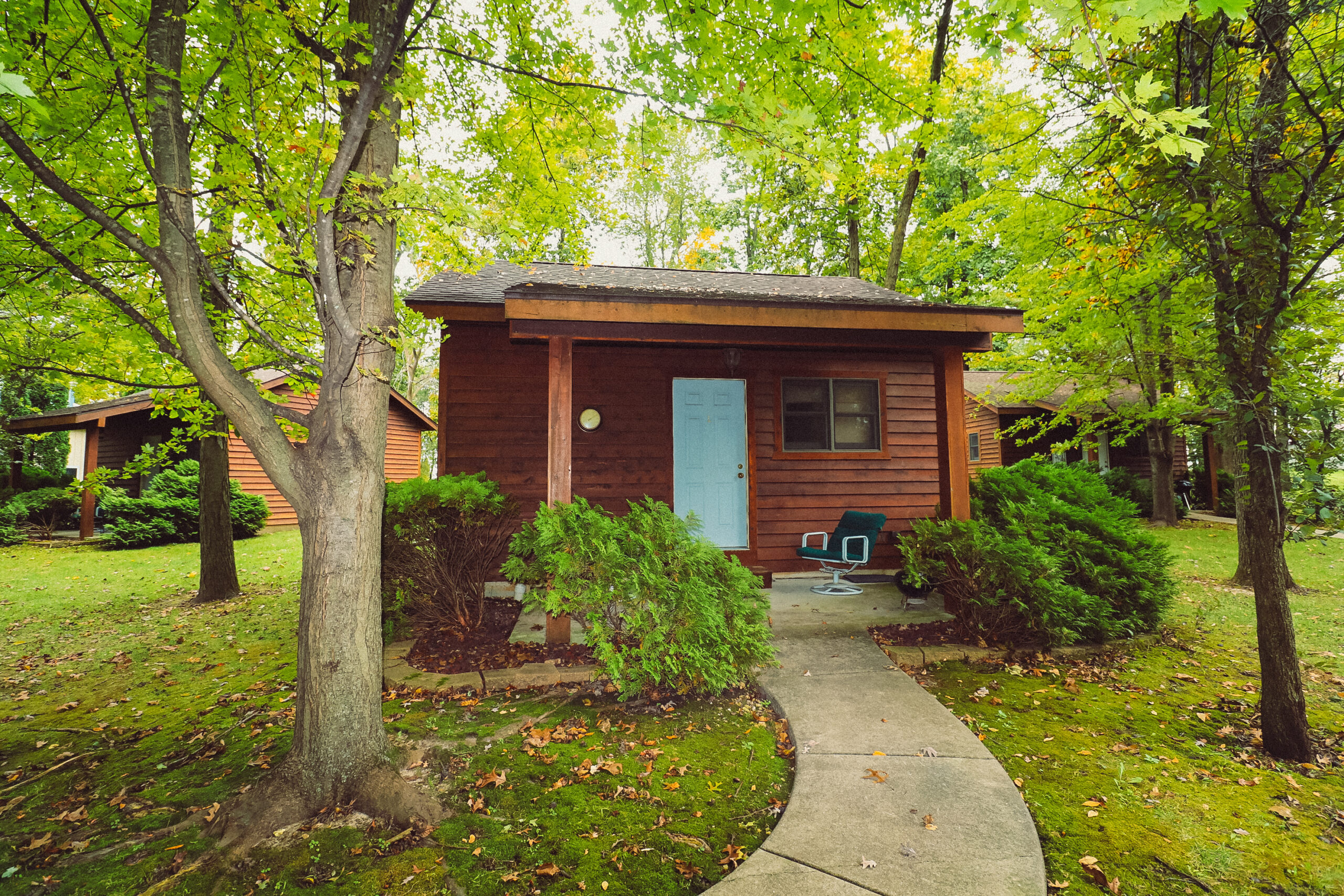 cabin2