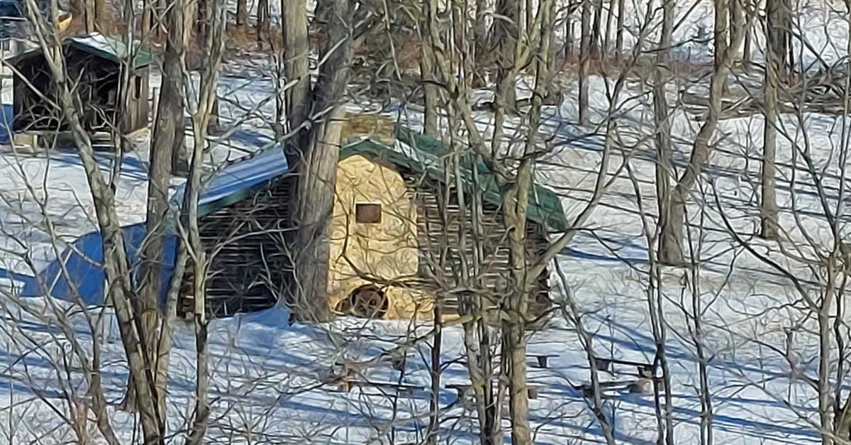 bwcvb BLOG WPR 16 logcabin 1200