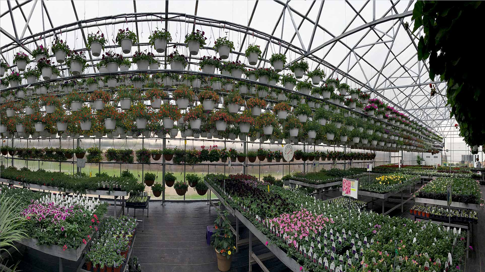 bwcvb BLOG spring greenhouse