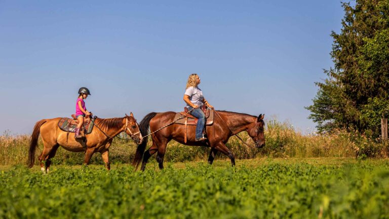 White Pines Ranch