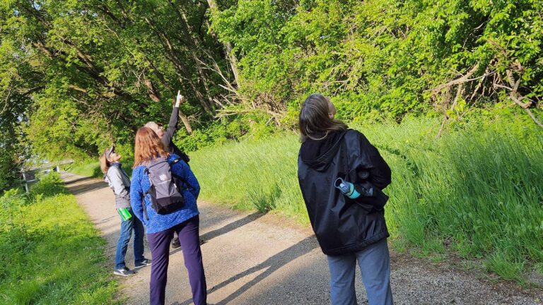 Fly High with Nature on the Rock Falls Birding Trail